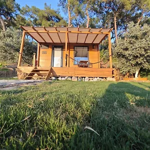 https://tiny-mini-house.aegeanhotels.net